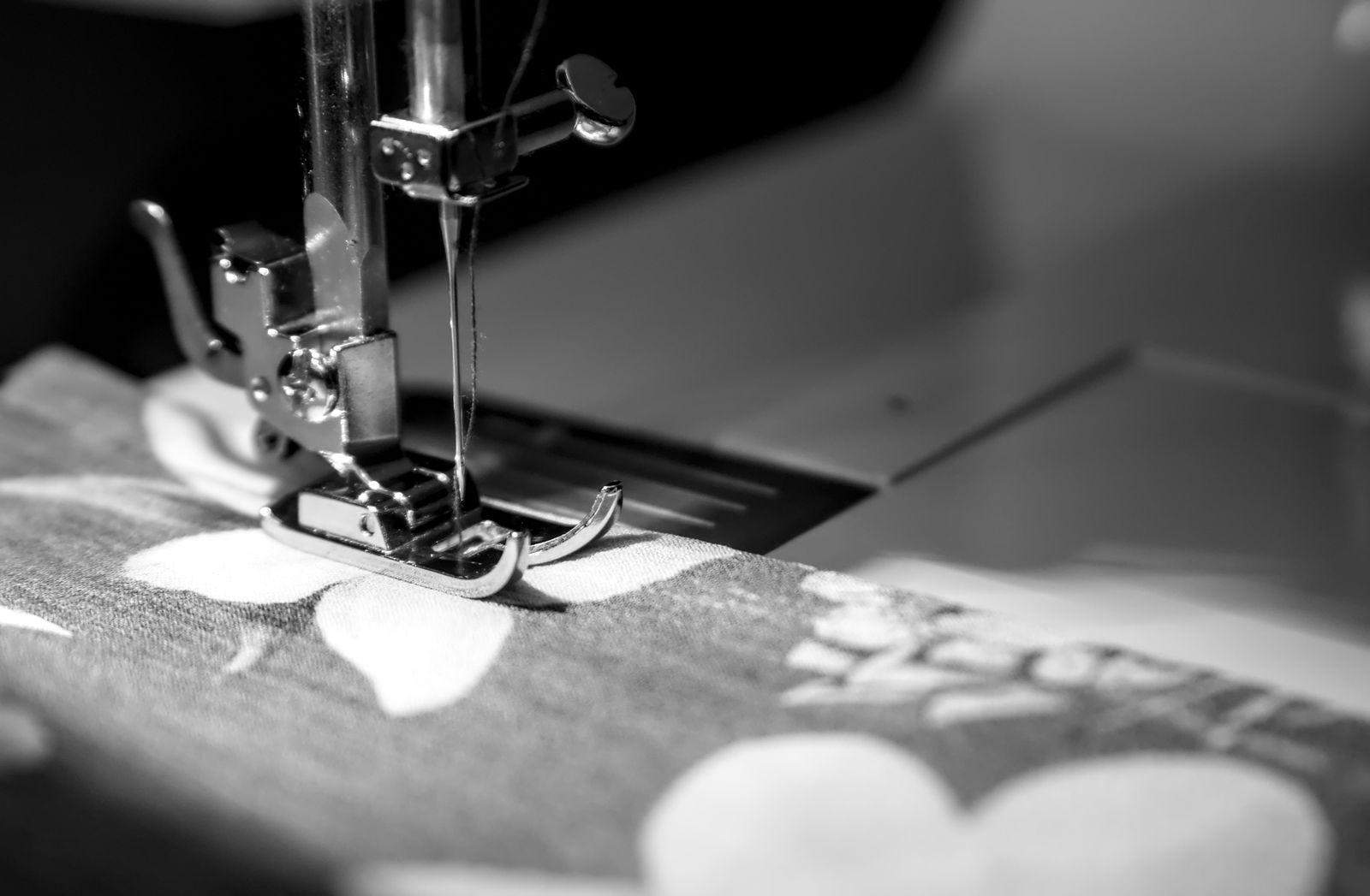 Płytka ściegowa, igła, tkanina wsunięta pod stopkę w maszynie do szycia, monochromatyczne